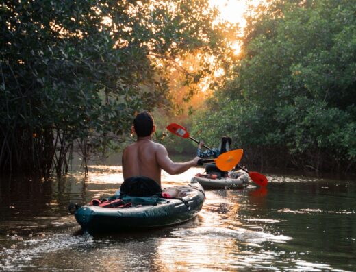 kayaking in mangroves puerto escondido scaled 1