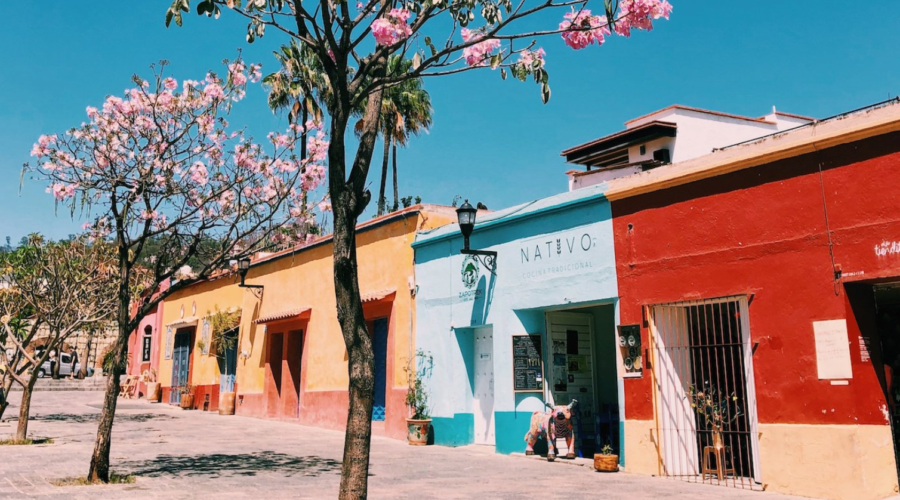 Oaxaca City Guide – 2023
